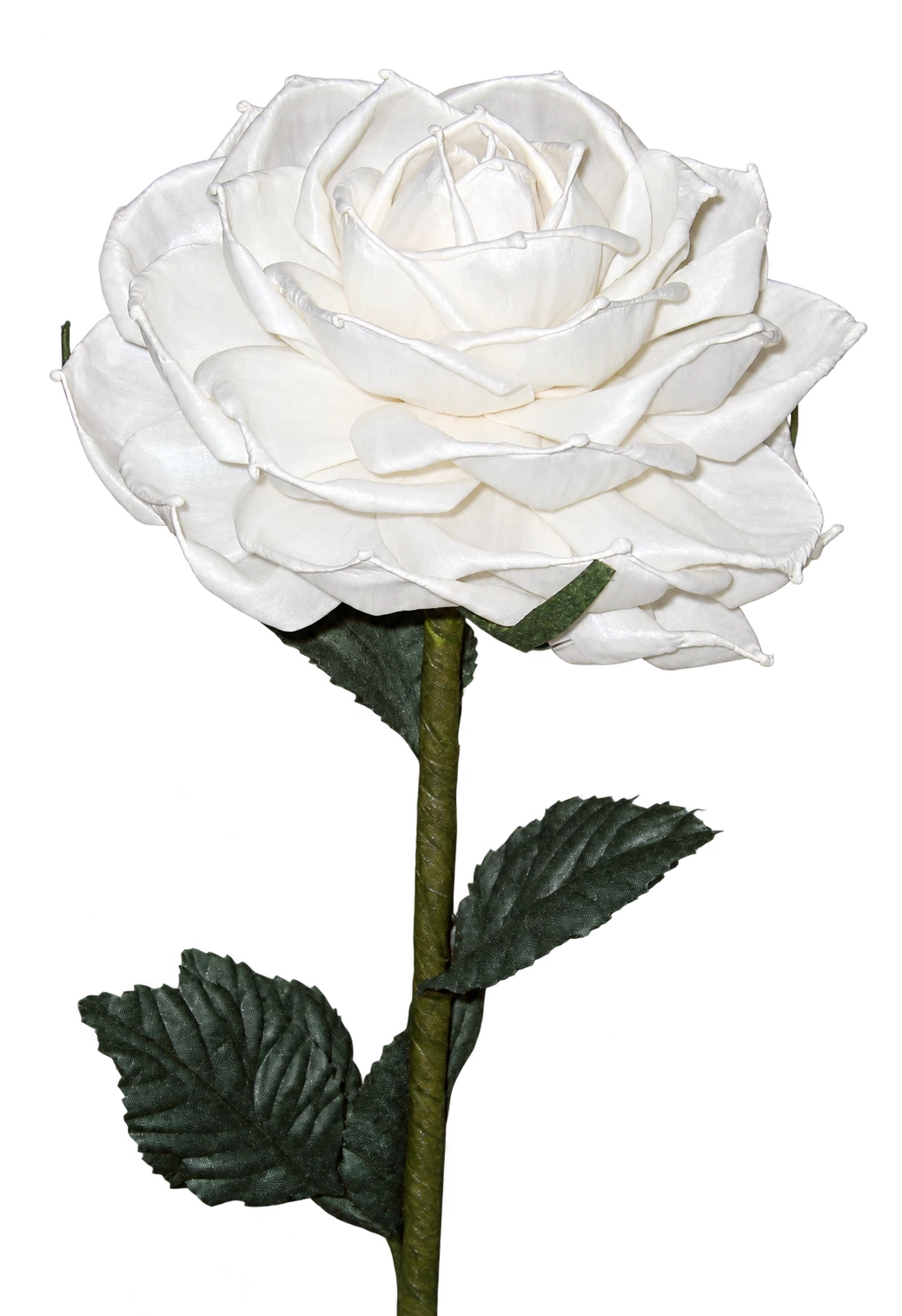 De witte, handgemaakte Rose of Peace met groene steel en bladeren